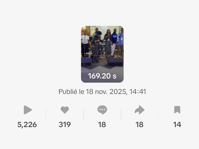 Statistiques TikTok de la vidéo du 18 novembre 2025, captation d'une prestation sur scène : 5 226 vues et 319 J'aime